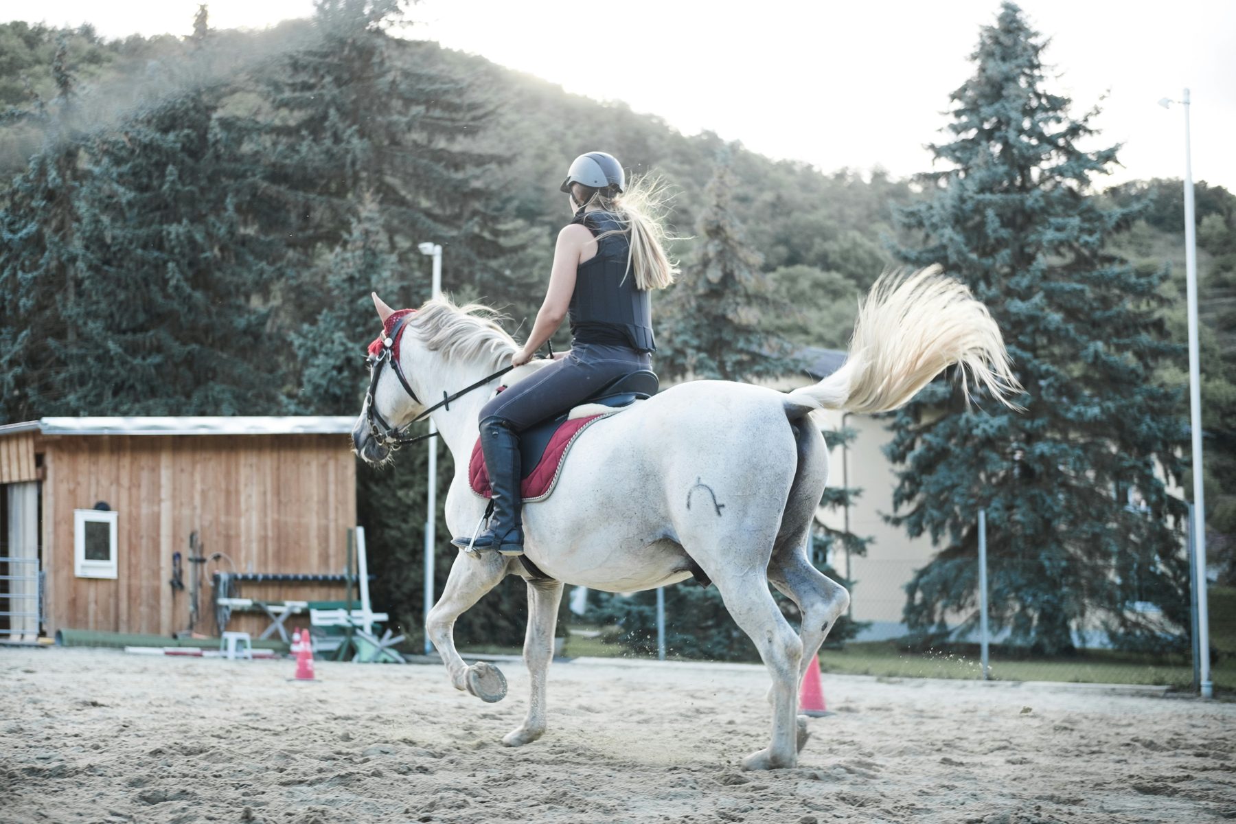 Horseback riding